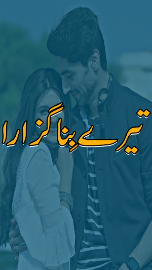 Tere Bina Guzara Urdu Novel Screenshot 0