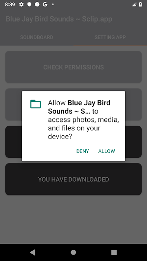 Blue Jay Bird Sound Collections ~ Sclip.app Screenshot 1