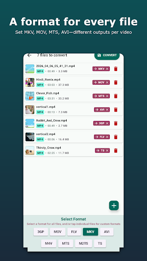 MP4 to MKV Converter Screenshot 0