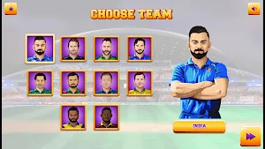 Real World Cup Cricket Game Screenshot 1