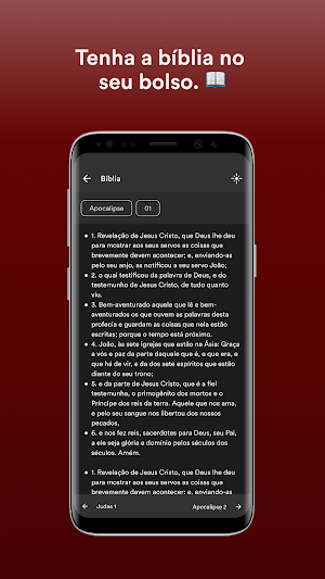PIB Governador Valadares Screenshot 2