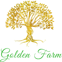 Golden Farm (Stuff)