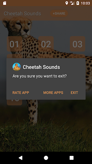 Cheetah (Animal) Sounds Screenshot 3