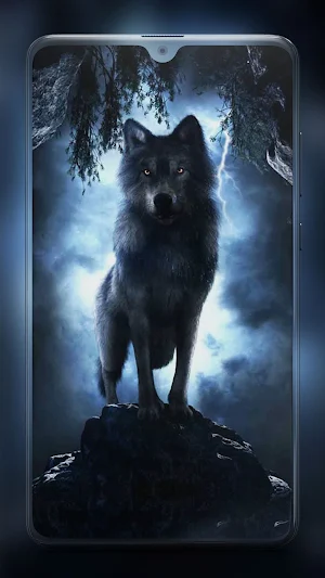 Wolf Wallpaper HD Screenshot 1