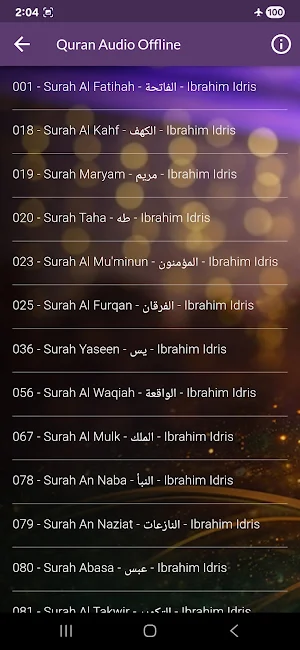 Ibrahim Idris Quran Offline Screenshot 1