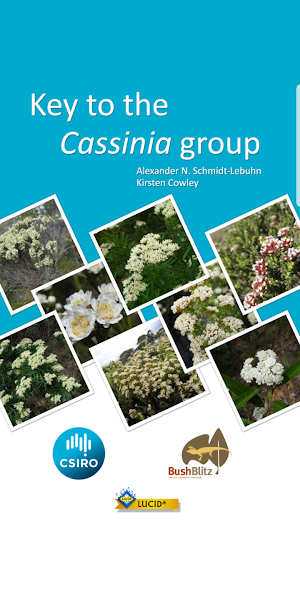 Key to the Cassinia group Screenshot 0