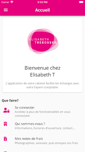 Elisabeth T : A vos côtés ! Screenshot 0