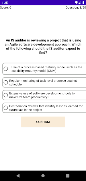 CISA Practice Questions Screenshot 2