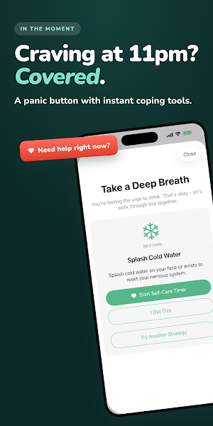 QUITHOL: Quit Drinking Tracker Screenshot 3