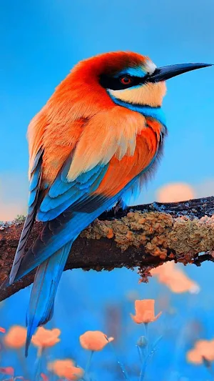 Birds Wallpaper 4K Screenshot 1