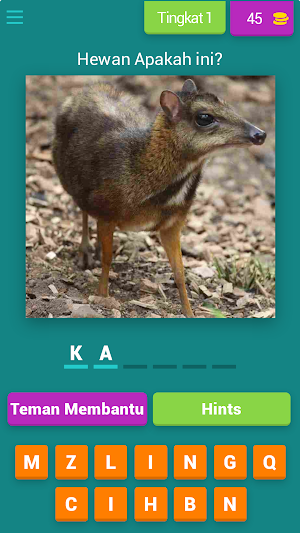 ZoologiPuzzle Screenshot 0