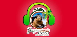 Radio Guayaramerin Screenshot 3