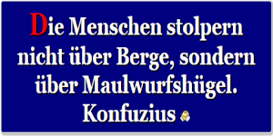 Zitat des Tages Screenshot 1
