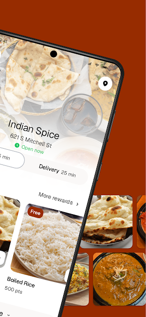 Indian Spice To Go Screenshot 1