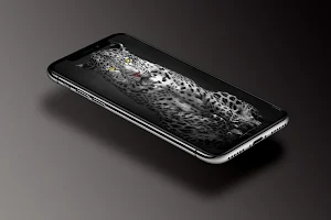 🐯 Leopard Wallpaper 🐆 Screenshot 3
