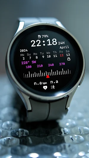 nbWatch: Compass X Screenshot 2