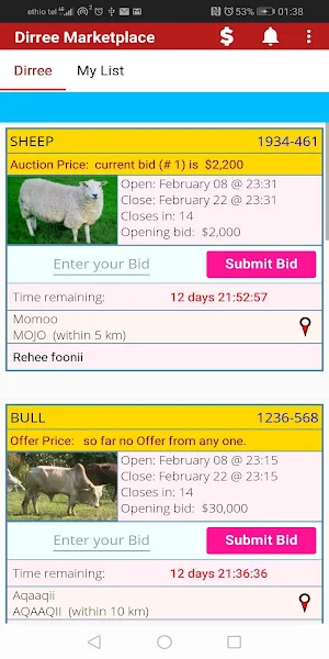 Dirree Marketplace Screenshot 0