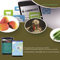 ECO-ICBT -  Mobile Commerce