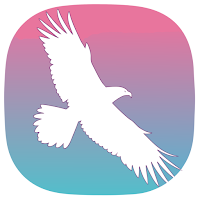 Freedom Launcher