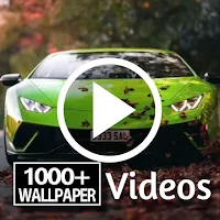 1000+ Video Wallpapers