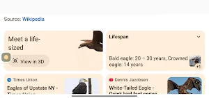 Eagle Browser TV Screenshot 3