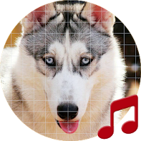 Talking dog sounds ~ Sboard.pro