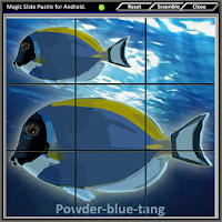 Magic Slide Puzzle A Fishes 2