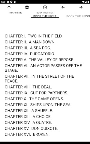 Book, The Grey Lady Screenshot 3