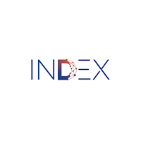 INDEX E-SOLUTIONS