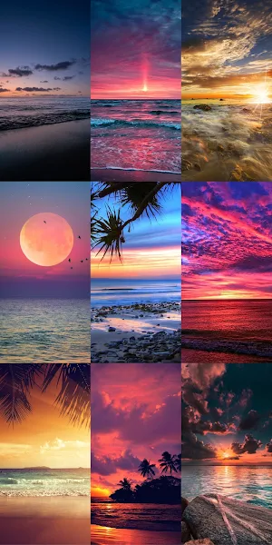 Beach Wallpapers HD Screenshot 1