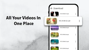 FLEX Video Player All Format Screenshot 1