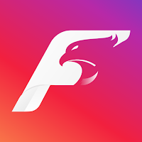 Falcon Eye
