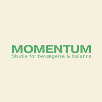 MOMENTUM STUDIE