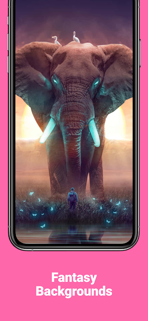 Cute HD Elephant Wallpapers Screenshot 1