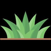 Distinguishing Between Grasses
