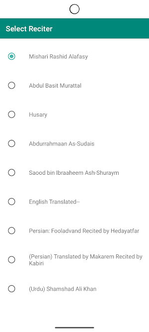 Quran Companion Multilingual Screenshot 2