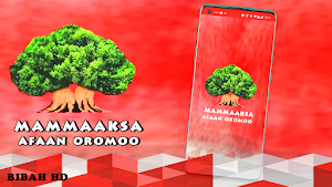 Mammaaksa Afaan Oromoon Screenshot 1