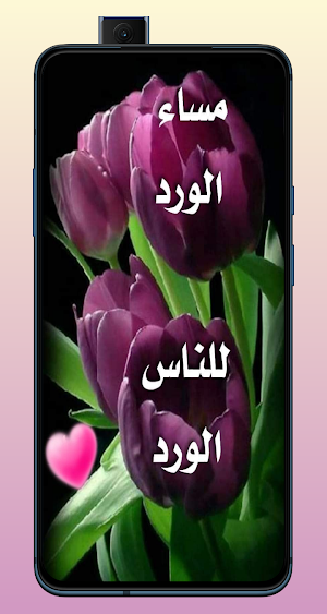 اجمل صور مساء الخير Screenshot 1