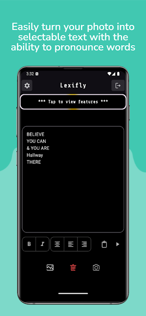 Lexifly Screenshot 3