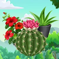 Plants Match