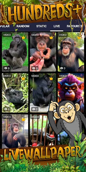 chimpanzee wallpaper Screenshot 2