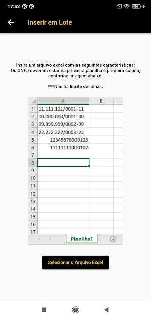 Consulta Cnpj - em lote Screenshot 1