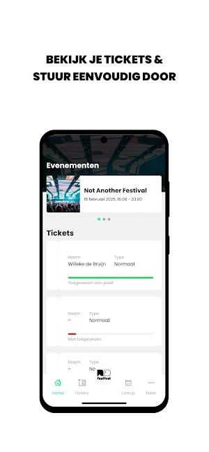 Not Another Festival Screenshot 1