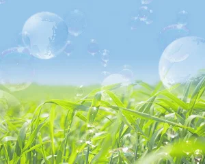 Transparent Theme Wallpapers Screenshot 3