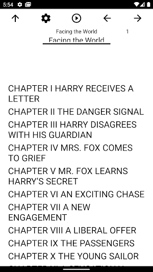 Book, Facing the World Screenshot 0