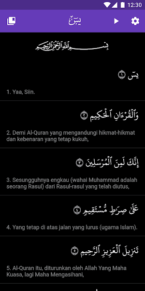 Surah Yasin with Translation a Screenshot 3