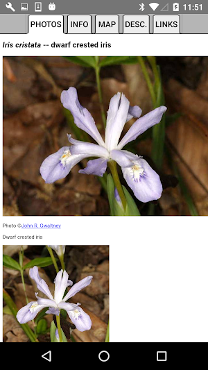 West Virginia Wildflowers Screenshot 3