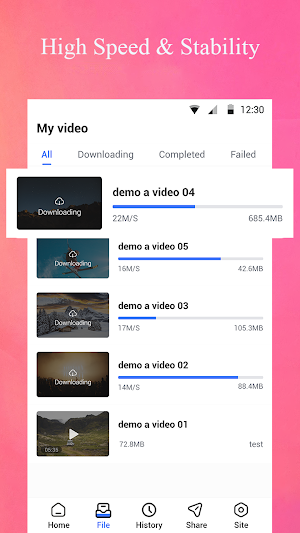 Video Downloader Express Screenshot 2