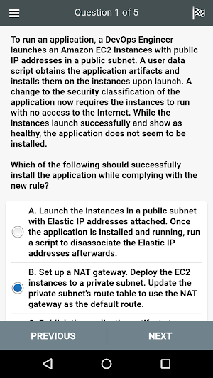 DOP-C01 All-in-One Exam Screenshot 1