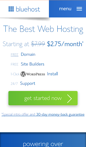 Web Hosting Screenshot 3